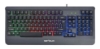 Imagine Kit Gaming Serioux Kayel 4 in 1, Tastatura de gaming, 104 taste, 19 taste Anti-ghosting , design slim, iluminare rainbow, structura metalica gri, taste negre + design cu palm rest, cablu USB 1.5M PVC, plug and play; Mouse gaming, senzor Sunplus 199, 800-6400 DPI, switch HUANO, pana la 20 milioane de