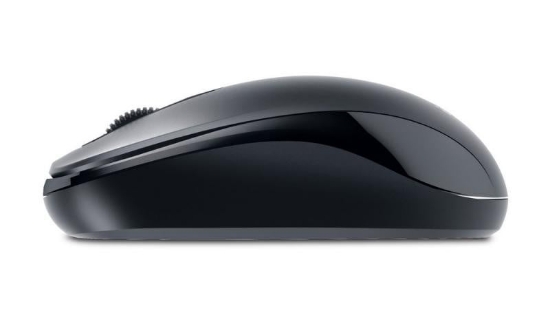 Imagine Mouse Genius DX110, USB, negru